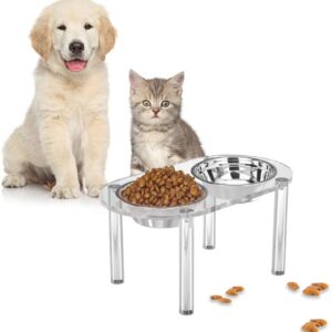Elevated Acrylic Pet Feeder Stand With 2 Stainless Steel Cat and Dog Bowls