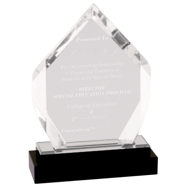 Personalized Custom Clear Acrylic Award For Appreciate Achievement Gift - Image 3