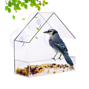 Factory Custom Clear Acrylic Window Bird Feeder for Indoor Bird Watching Garden Decoration