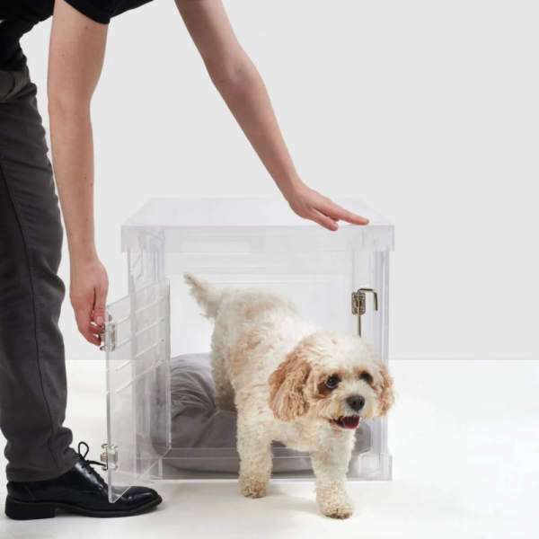 Acrylic Dog Crate